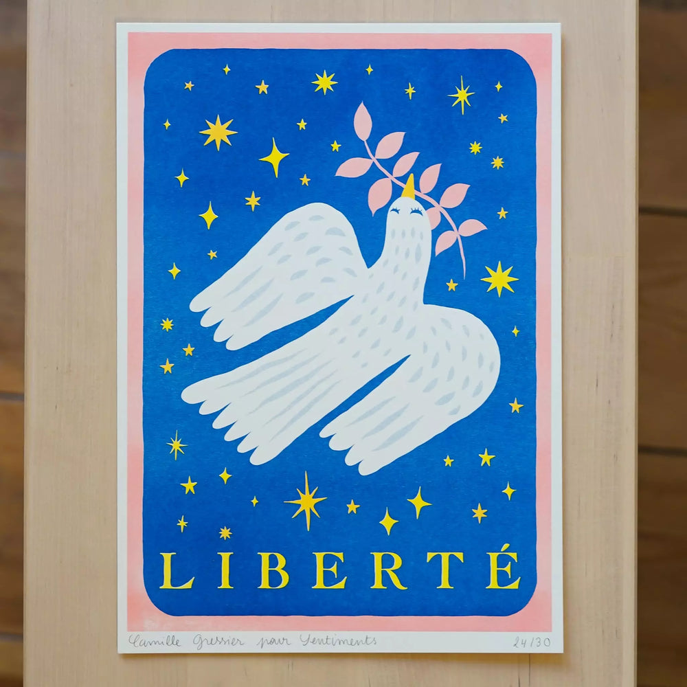 Illustration de Camille Gressier d'une colombe blanche sur un fond bleu nuit avec des étoiles